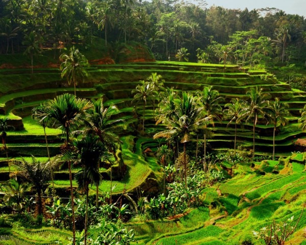 Indonésie Bali
