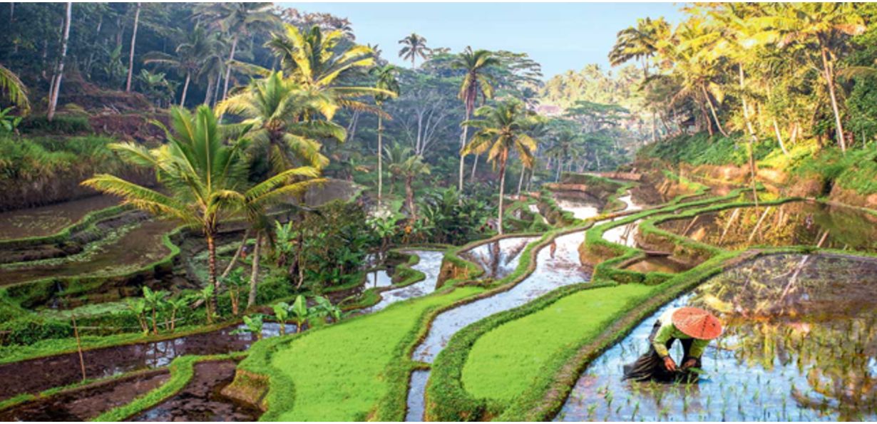 Voyage spirituel à Bali