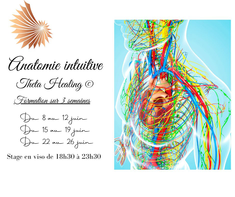 Formation Thetahealing Anatomie Intuitive